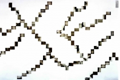 kunstgruppe GOTTLIEB, Schule des Entdeckens, Standort 1 von 6, Galerie der Künste 3. Etage, Gesamtrauminstallation, Detail, Wandinstallation Foto: © KGGB