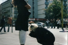 kunstgruppe GOTTLIEB, Schule des Entdeckens, Making-of Foto: © KGGB